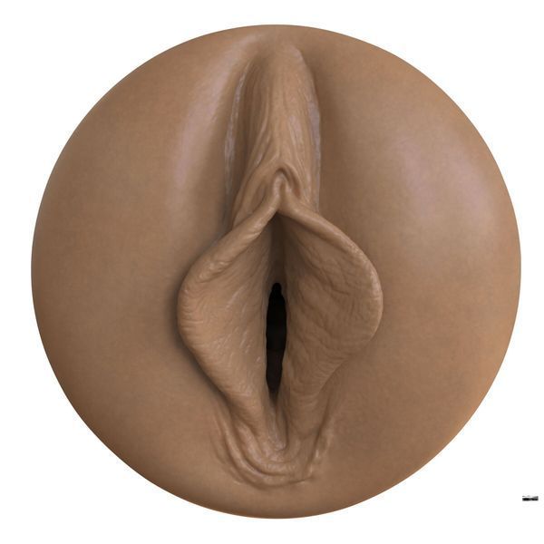 Мастурбатор-вагина Fleshlight Boost Bang Medium Dark Flesh, плавающие кольца Turbo Tech SX1315 фото