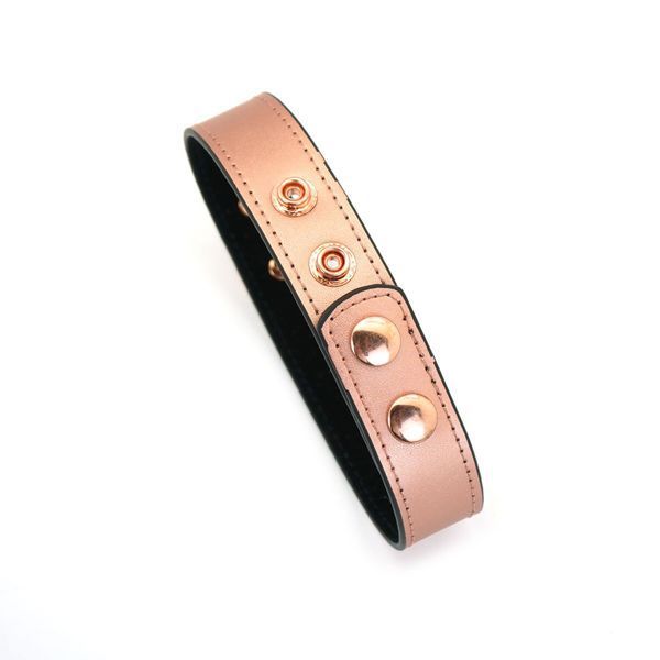 Нашийник із затискачами для сосків Liebe Seele Rose Gold Memory Collar with Nipple Clamps, шкіра SO9495 фото