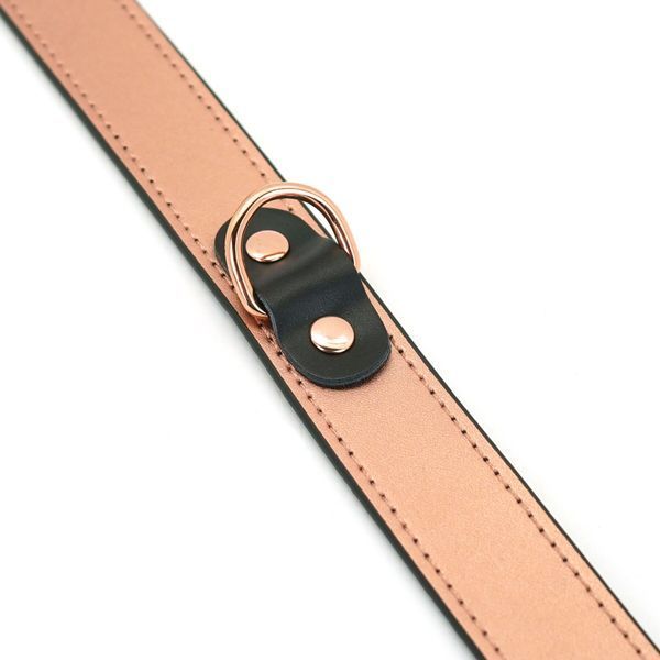 Нашийник із затискачами для сосків Liebe Seele Rose Gold Memory Collar with Nipple Clamps, шкіра SO9495 фото