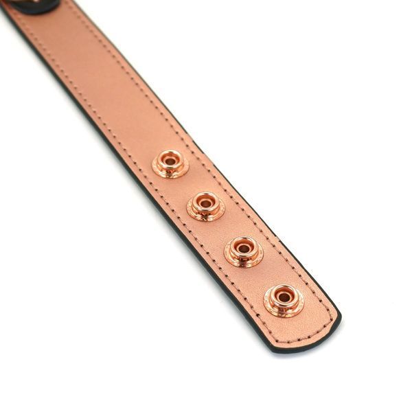 Нашийник із затискачами для сосків Liebe Seele Rose Gold Memory Collar with Nipple Clamps, шкіра SO9495 фото