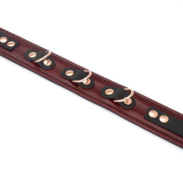 Шкіряний нашийник з повідцем Liebe Seele Wine Red Collar and Leash, 3 кільця для кріплення SO9451 фото