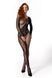 Бодистокинг Passion BS107 One Size, black SX1905 фото 1