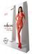 Бодистокинг с плетением на животике Passion BS100 One Size, red, декоративный шов, с доступом SO8942 фото 6