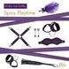 Подарунковий набір для BDSM RIANNE S &mdash; Kinky Me Softly Purple: 8 предметів для задоволення SO3865 фото 2