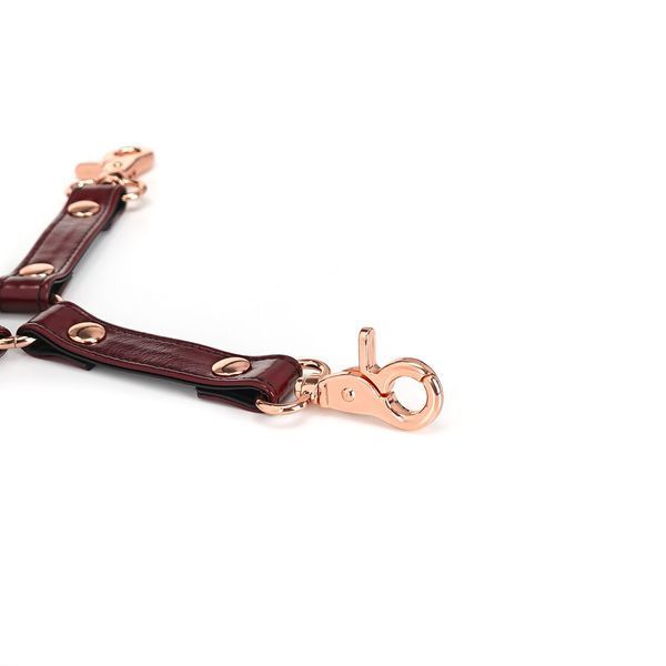 Кожаная крестовина Liebe Seele Wine Red Hogtie SO9459 фото