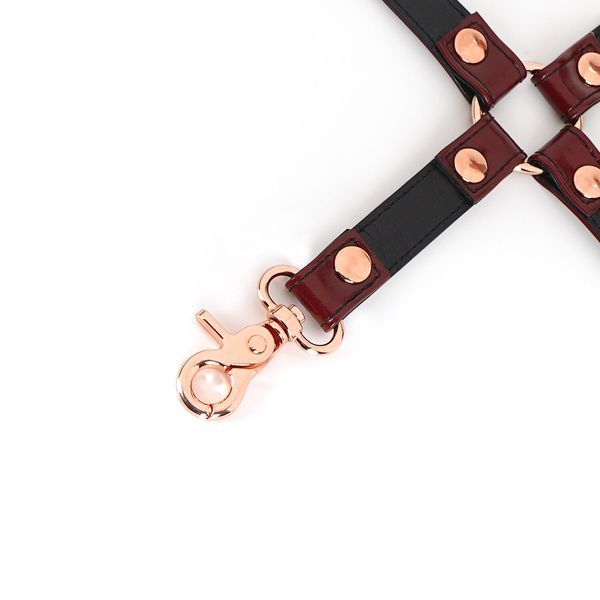 Кожаная крестовина Liebe Seele Wine Red Hogtie SO9459 фото
