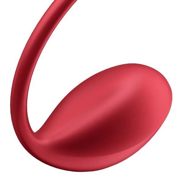 Смарт-виброяйцо Satisfyer Shiny Petal Connect App, управление со смартфона, пульт ДУ SX1220 фото