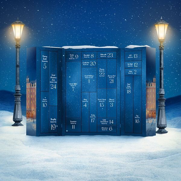 Подарочный набор Satisfyer Premium Advent Calendar 2025 SX2855 фото