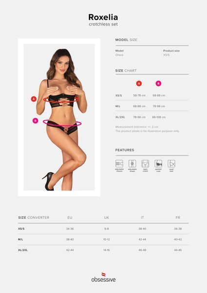 Комплект Obsessive Roxelia 2-pcs crotchless set XL/2XL SO9073 фото