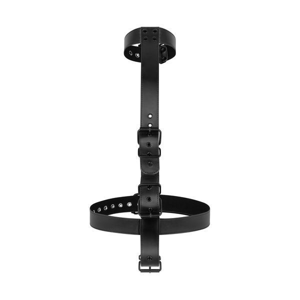 Фиксатор для рук и шеи Bedroom Fantasies: Seductive Straps Body Restraint Set SO8811 фото