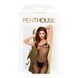 Бодистокинг с доступом Penthouse - Dark Wish Black S/L SO4406 фото 3