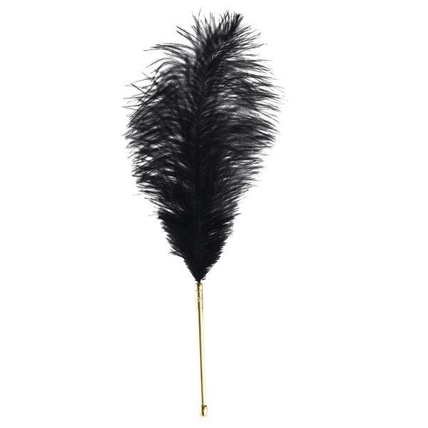 Лоскітка LOCKINK SEVANDA Natural Peacock Flirting Feather Tickler, перо павича SX0895 фото