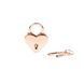 Замочек Liebe Seele Heart Shape Padlock Rose Gold (2 шт) SX1678 фото 1
