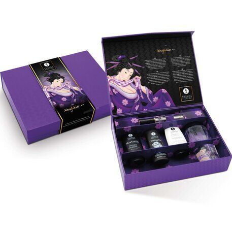 Подарочный набор Shunga Naughtier Kit, 5 продуктов для интимной стимуляции SX0587 фото