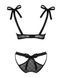 (SALE) Напівпрозорий еротичний комплект Obsessive Obsessivia 2-pcs set black S/M, бюстгальтер та трусики, а SO7297 фото 6